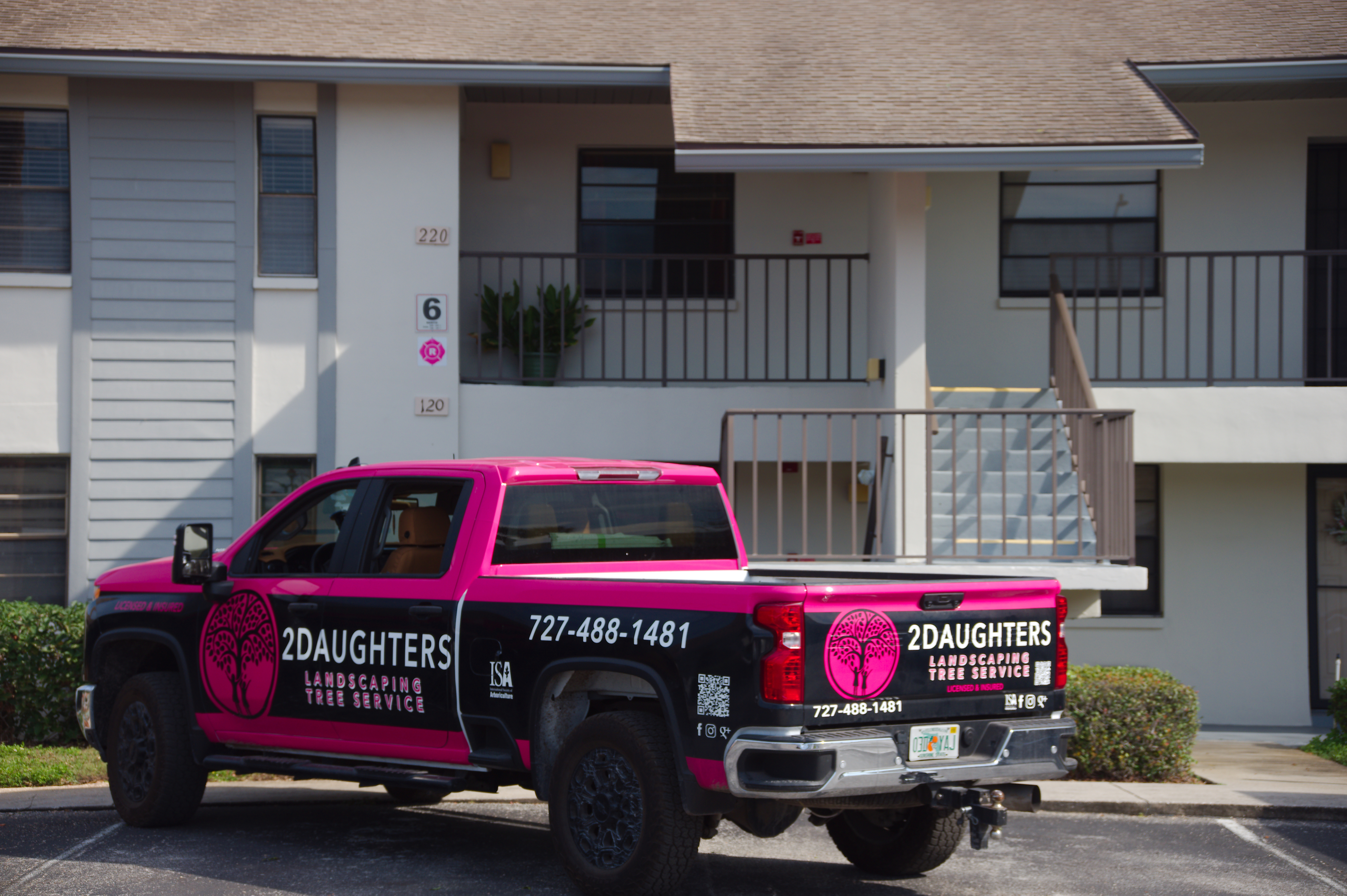 Review by Amanda Chen